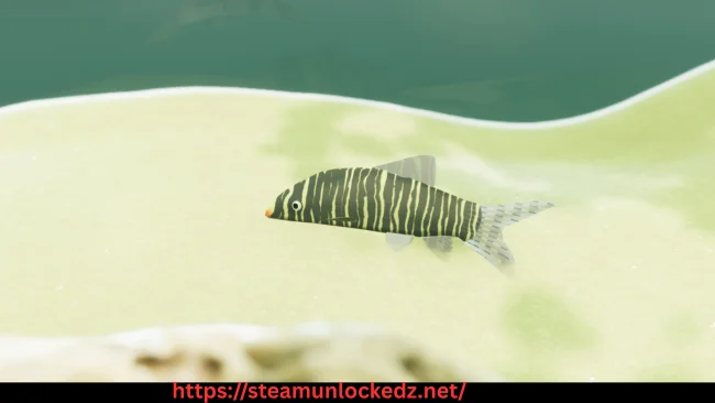 Fish Game - free download